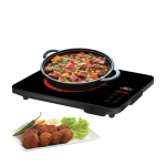 Anex Deluxe Hotplate AG-2168